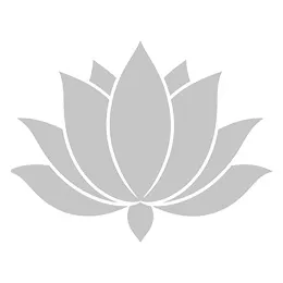 Lotus flower light